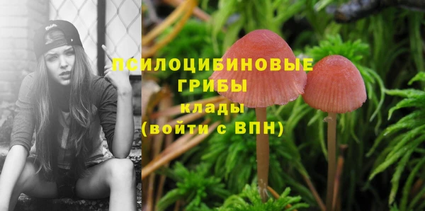 каннабис Верея